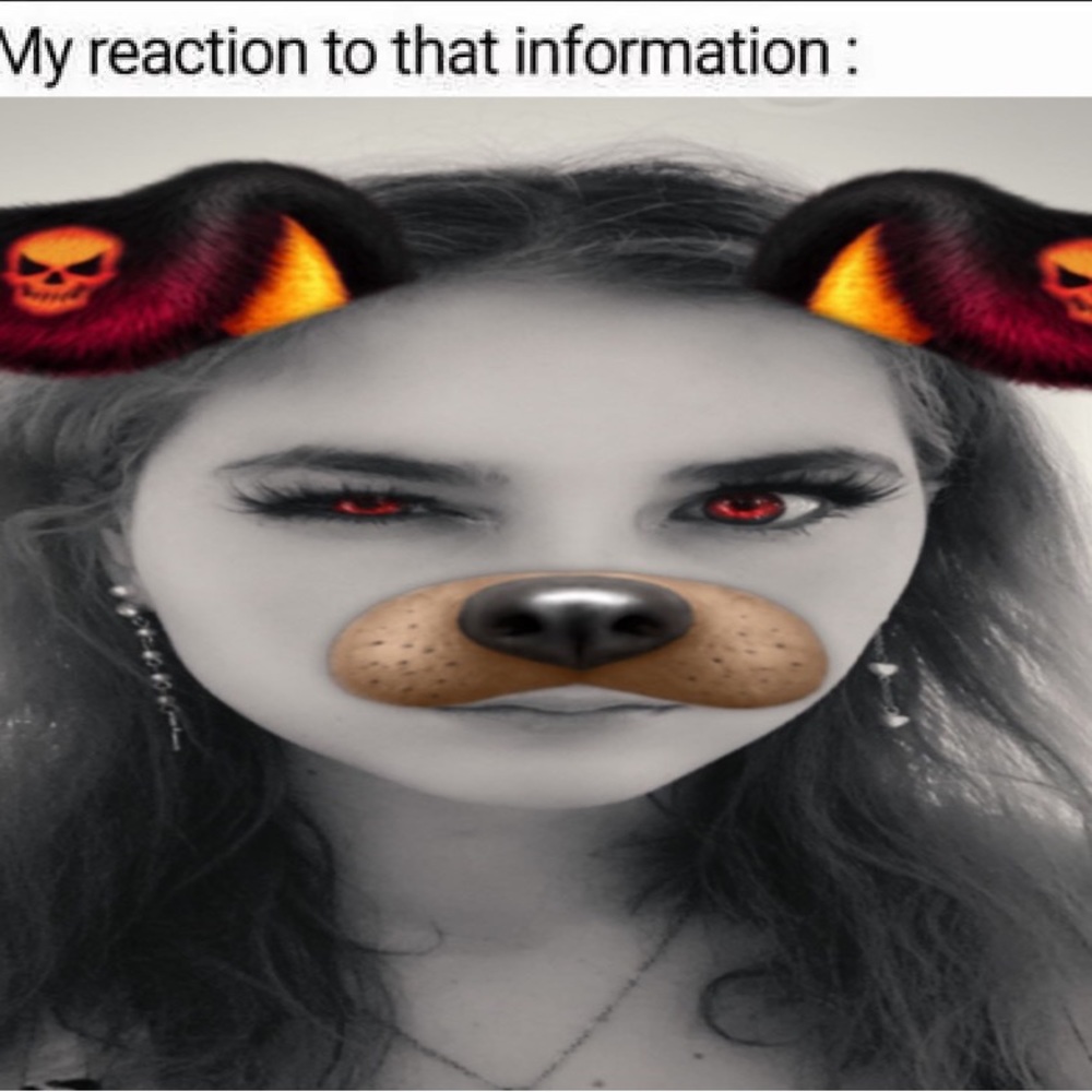 Meet your Posher, Ella